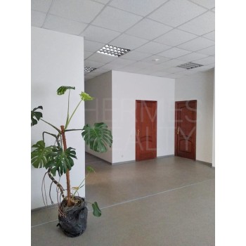 Покровка улица, 27с5 - 735,70 кв.м. - Аренда здания / особняка в ЦАО