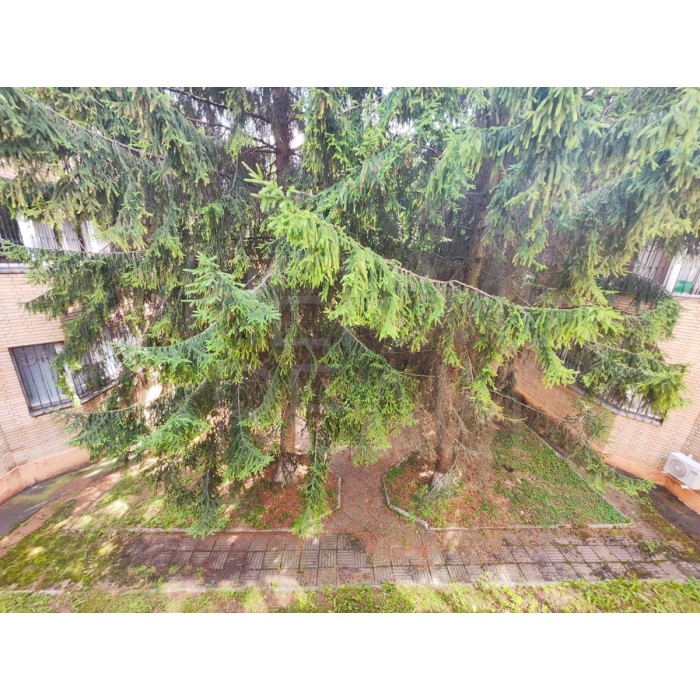 Вавилова улица, 91к2 - 1497,50 кв.м. - Аренда здания, ОСЗ, особняка