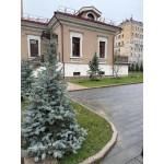 Средний Трехгорный переулок, 6/20с1 - 433,00 кв.м. - Аренда здания, ОСЗ, особняка