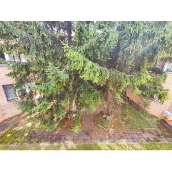 Вавилова улица, 91к2 - 1300,00 кв.м. - Аренда здания / особняка в ЮЗАО