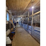  - 1142,00 кв.м. - Продажа здания, ОСЗ, особняка